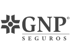 logo-gnp-svg